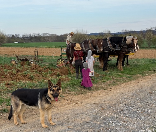 Aaron getting dinner