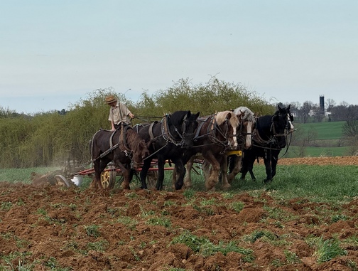 Aaron plowing