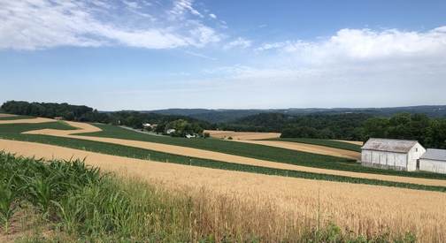 Martic Township rolling farmland