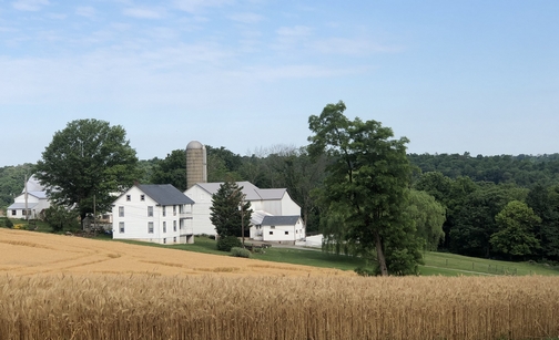 Martic Township farm