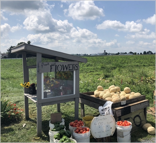 New Holland area roadside stand 8/9/18 (Click to enlarge)