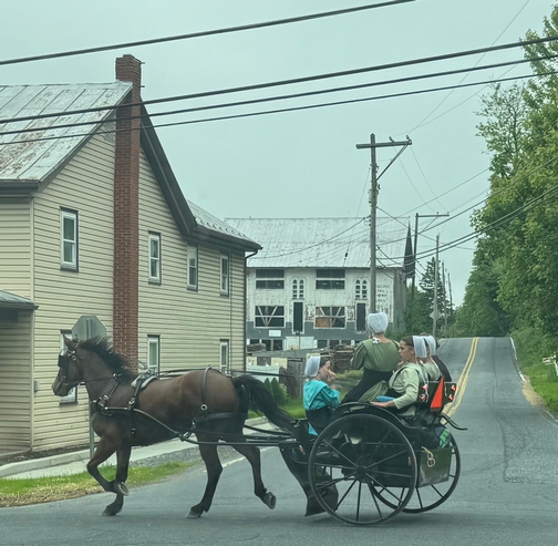 Amish youth out on Pentecost Monday
