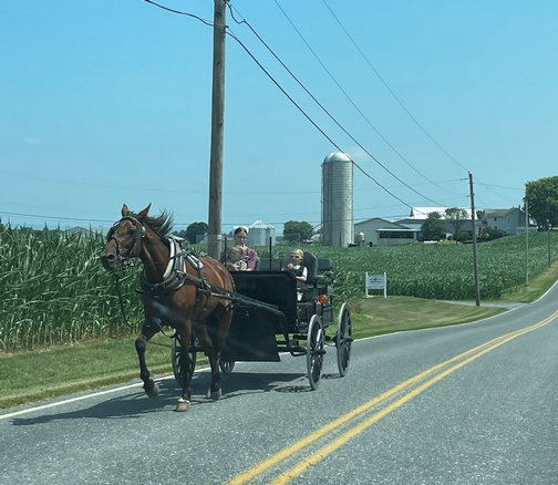 Lebanon County Amish spring wagon